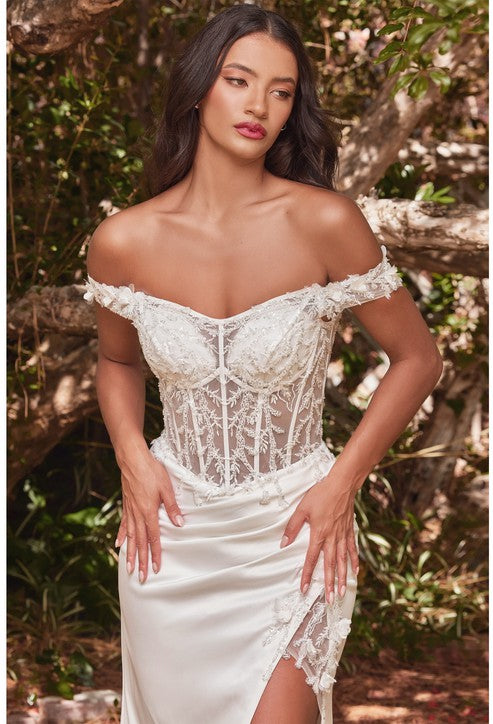 Off the Shoulder Lace Bodice Wedding Dress