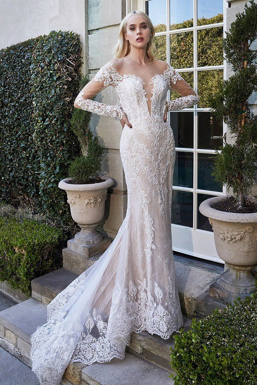 Long Sleeve V Neck Wedding Dress