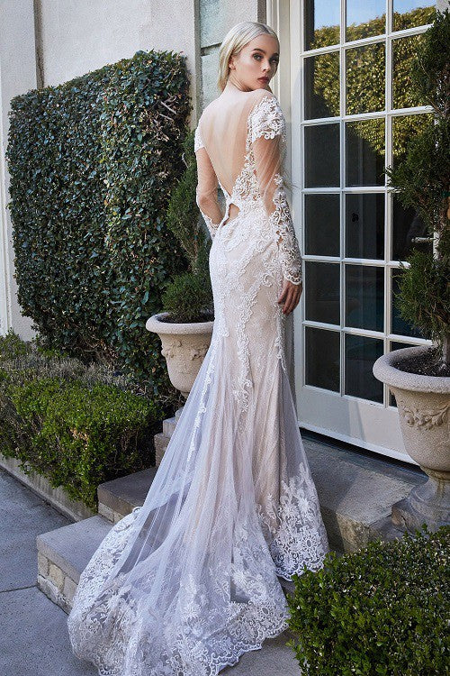 Long Sleeve V Neck Wedding Dress
