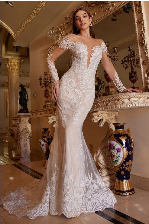 Long Sleeve V Neck Wedding Dress