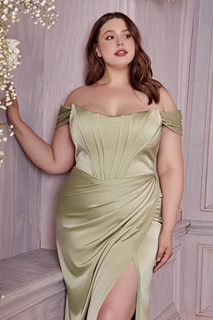 Prom Plus Off the Shoulder Corset Dress