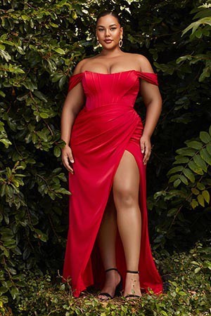 Prom Plus Off the Shoulder Corset Dress