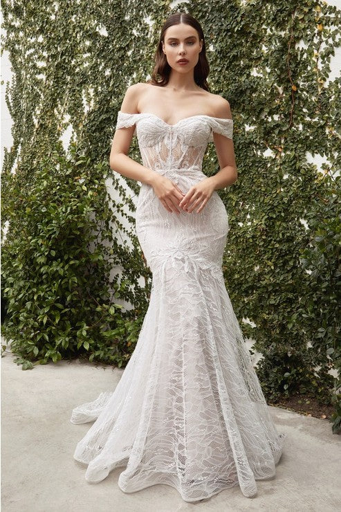 Off the Shoulder Lace Mermaid Wedding Dress