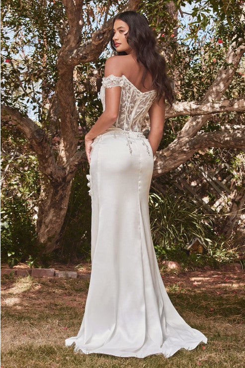 Off the Shoulder Lace Bodice Wedding Dress
