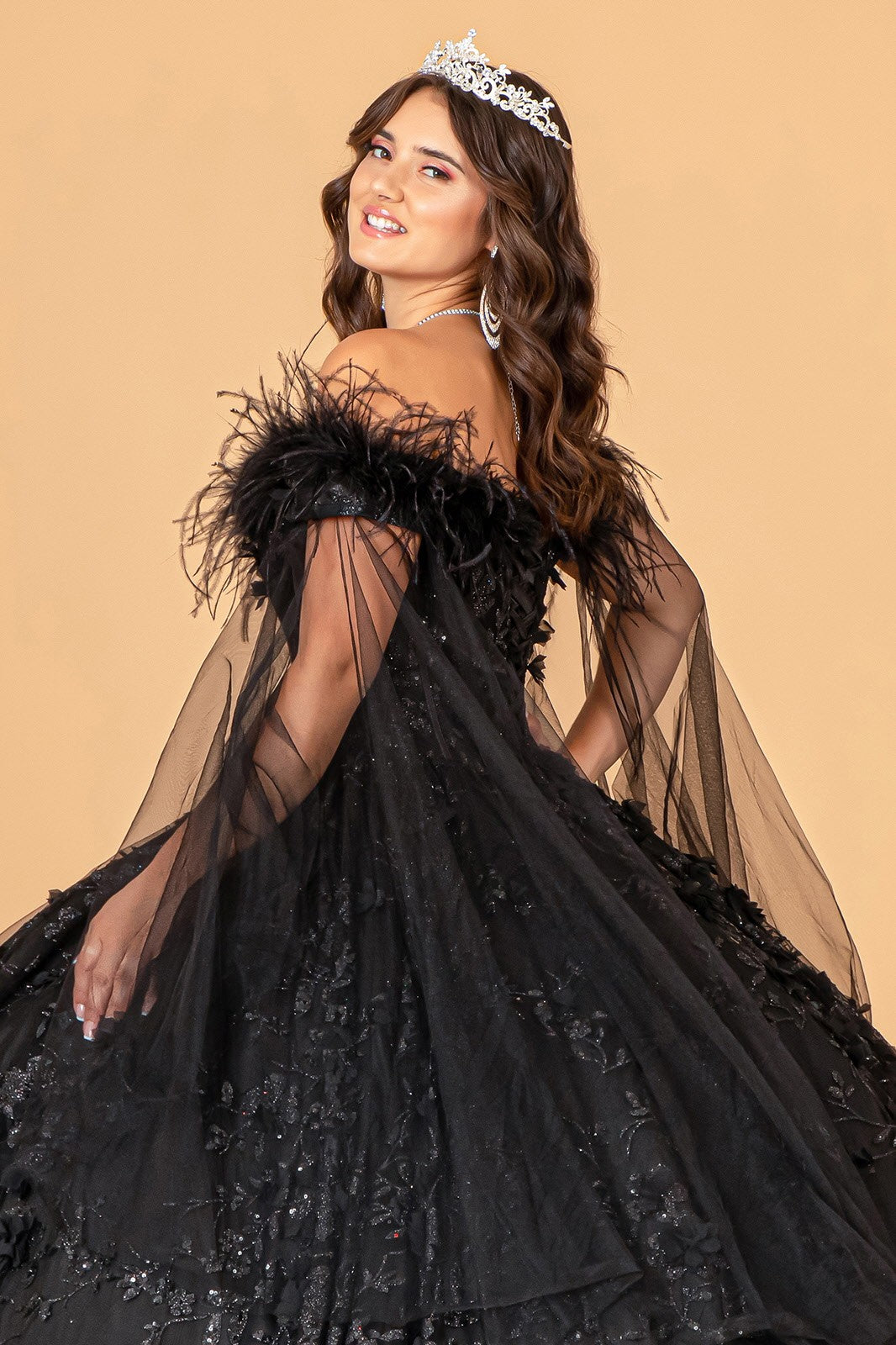 Black Off the Shoulder Feather Quinceanera Dress