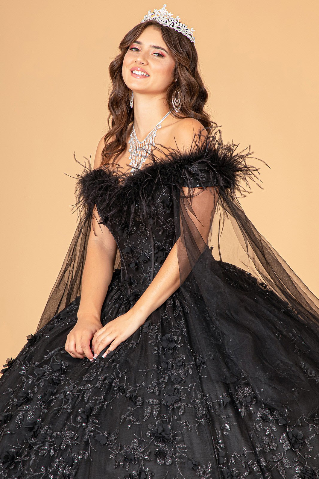 Black Off the Shoulder Feather Quinceanera Dress