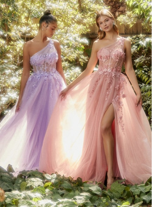 One Shoulder LAce Applique Tulle Dress
