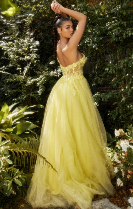 One Shoulder LAce Applique Tulle Dress