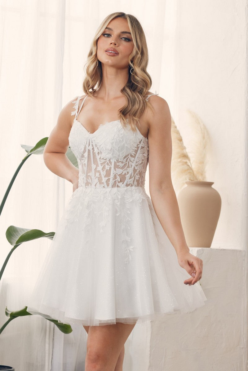 Sleeveless Lace Applique Tea Length Dress
