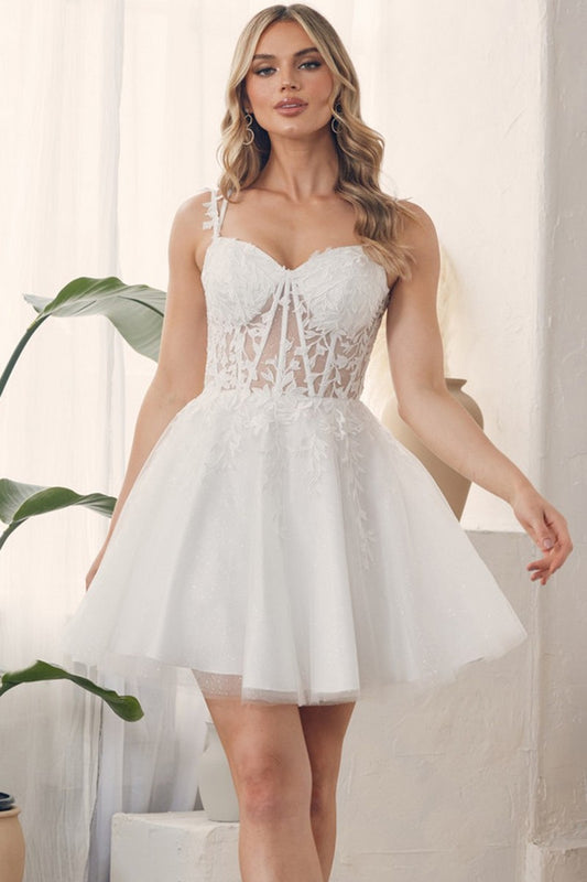 Sleeveless Lace Applique Tea Length Dress