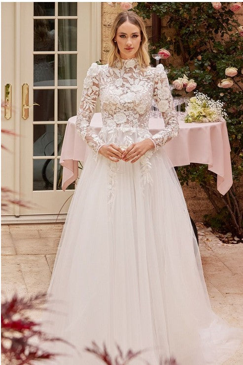 Long Sleeve Floral Applique Wedding Dress